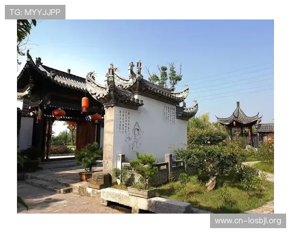庄对闲对什么意思以及常见的游戏策略和玩法技巧分享